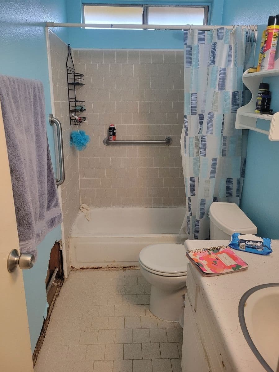 Bathroom featuring a shower, toilet, and blue decor with visible wear and tear.