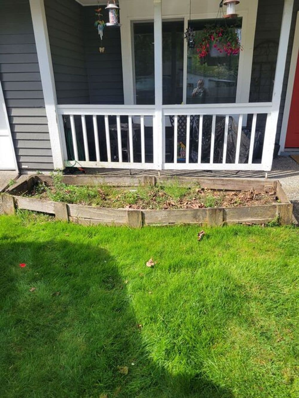 Garden bed with overgrown plants and wooden edging near a porch on a sunny day.